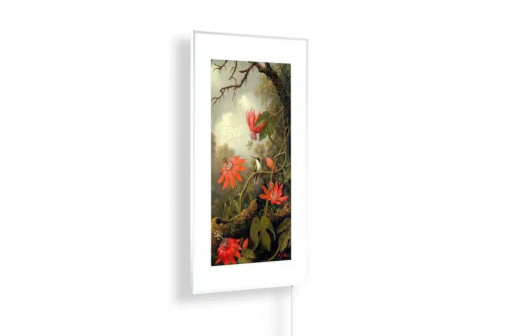 Martin Johnson Heade - Passiebloemen en kolibries