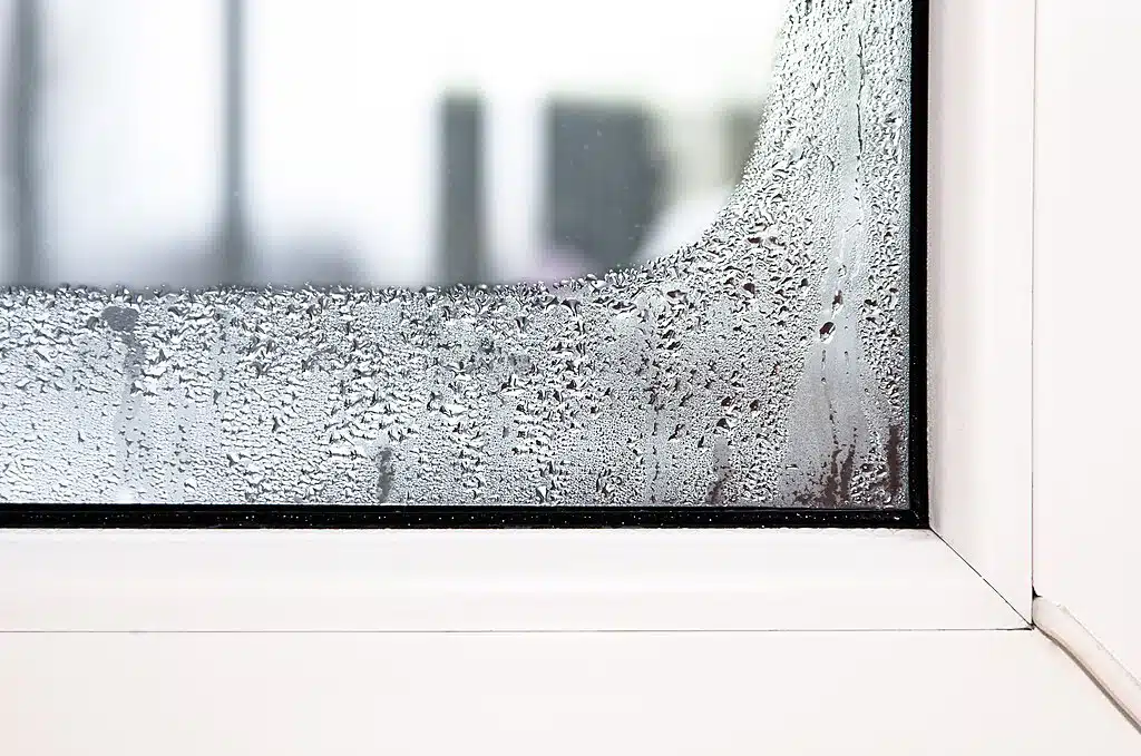 Fenster_mit_Kondenswasser